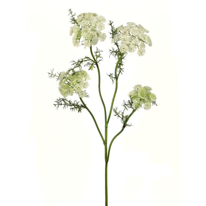 33" Wild Dill Spray