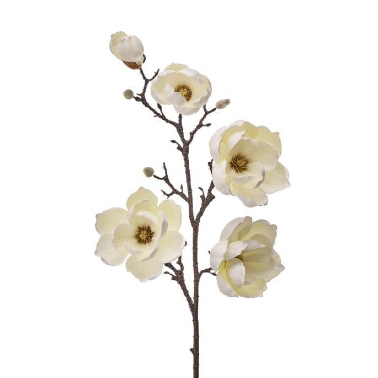 CREAM FOAM SAUCER MAGNOLIA BRANCH 40"