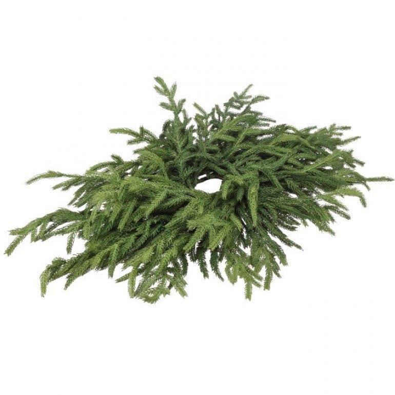 24" JUST CUT NORFOLK PINE CENTERPIECE