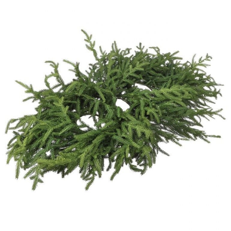 36" "JUSTCUT" NORFOLK PINE CENTERPIECE