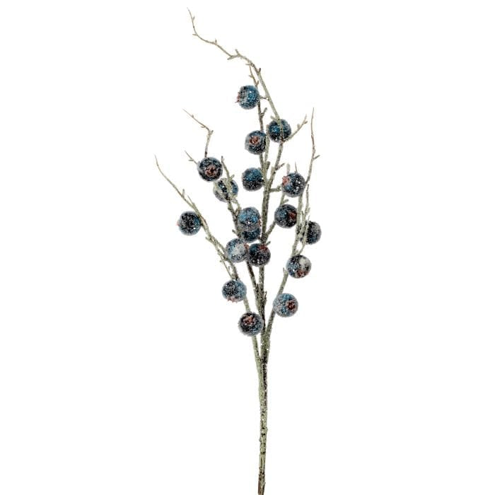 Frosted berry spray branch with large blue iced berries on snow-dusted twigs