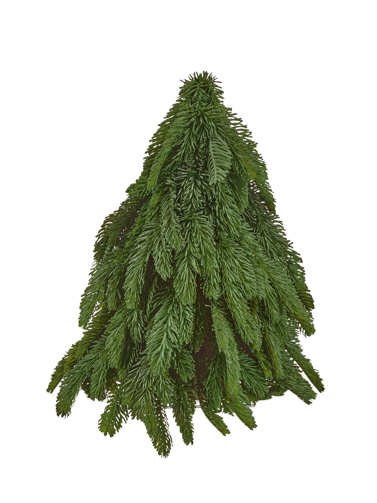 Small down-swept noble fir tabletop tree with drooping realistic needled branches, front view