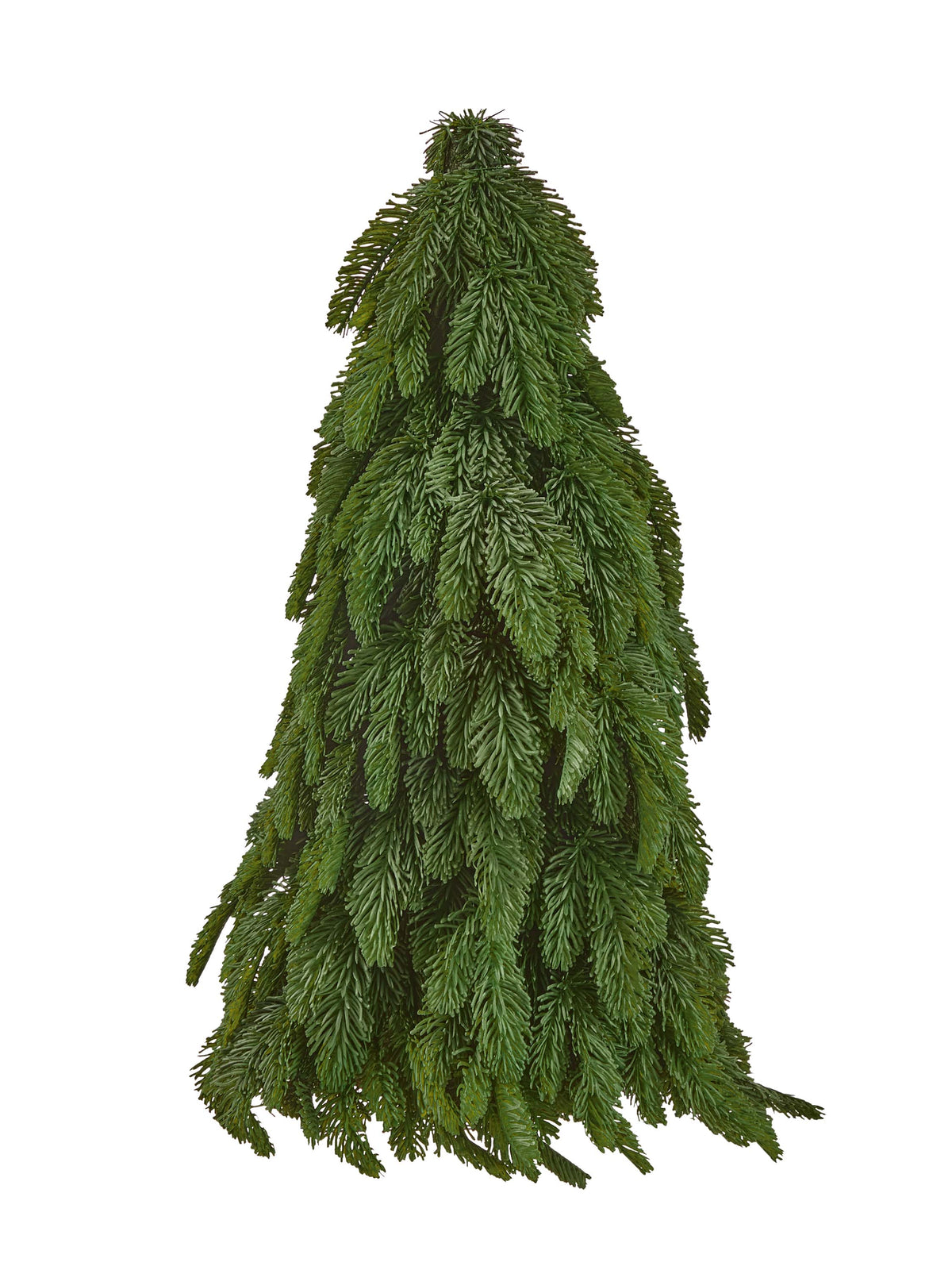 Small tabletop noble fir tree with drooping downswept branches, undecorated, front view