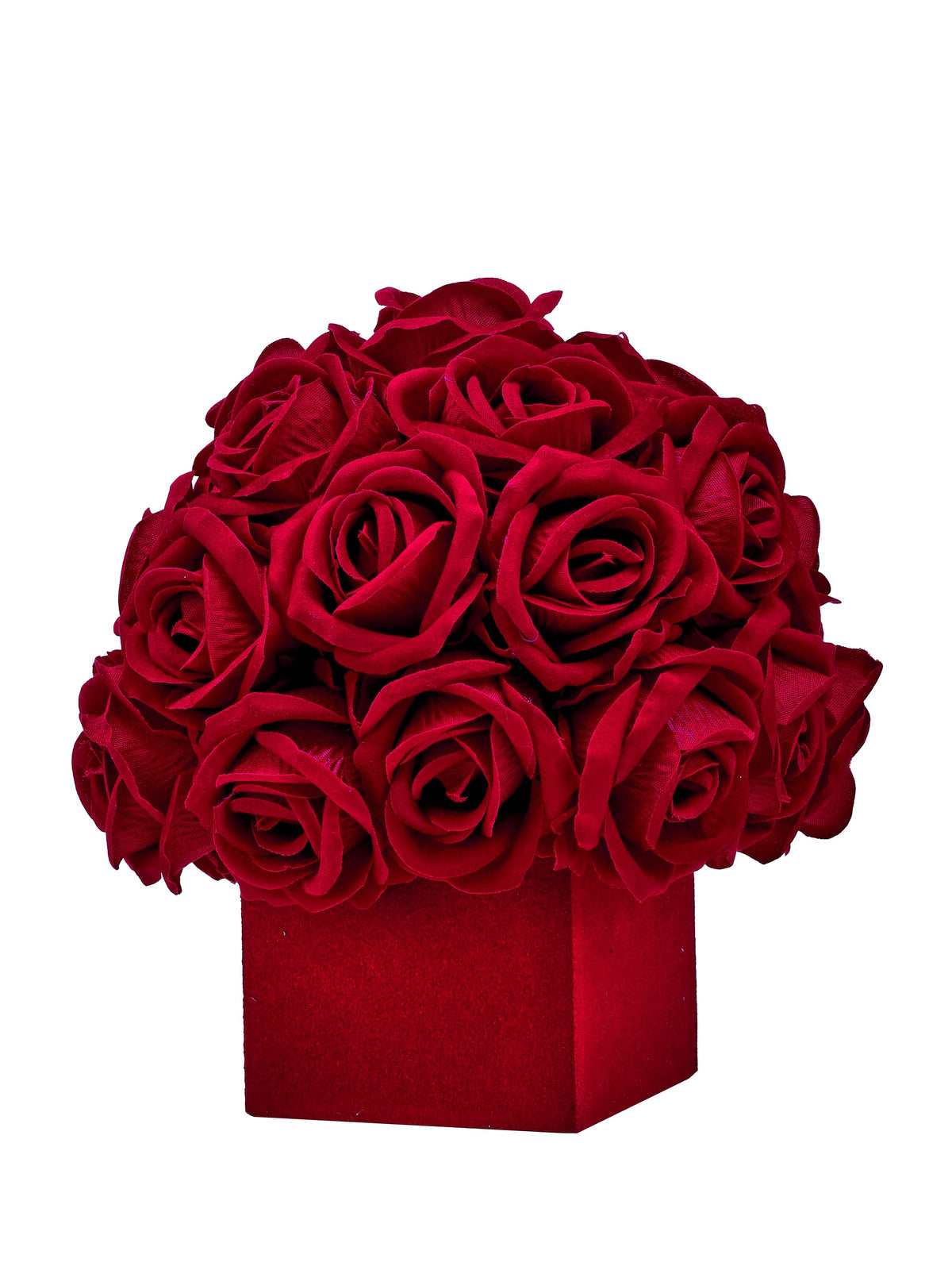 Round arrangement of deep red velvet roses in a square red pot, front view