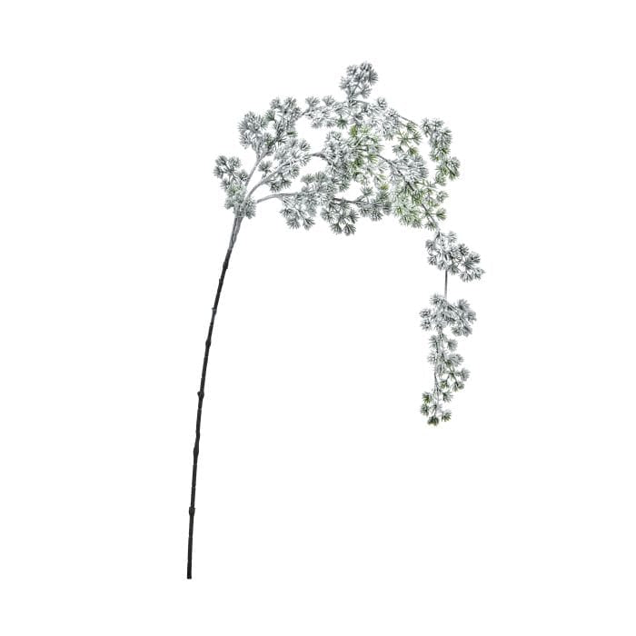 Frosted pine spray stem with cascading snow-dusted branches and delicate needle clusters
