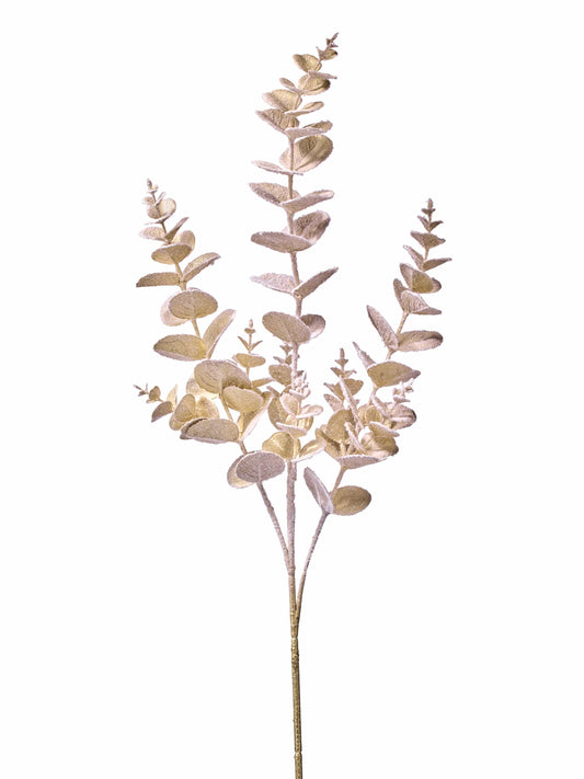 Frosted eucalyptus stem spray with round leaves dusted in white snow, full view