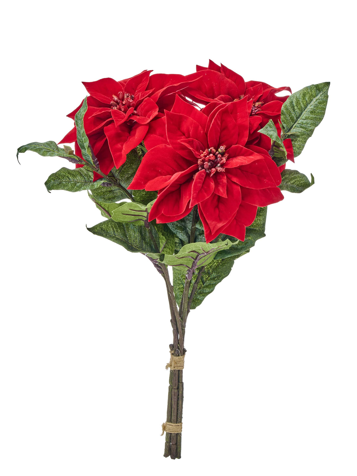 Bundle of three red velvet poinsettia blooms with green leaves, tied with twine at base