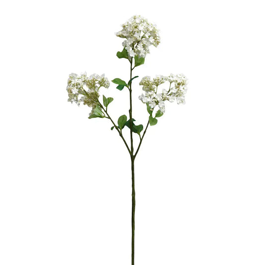 Wild Lilac White