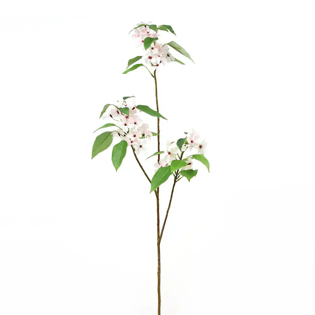 Pink Apple Blossom