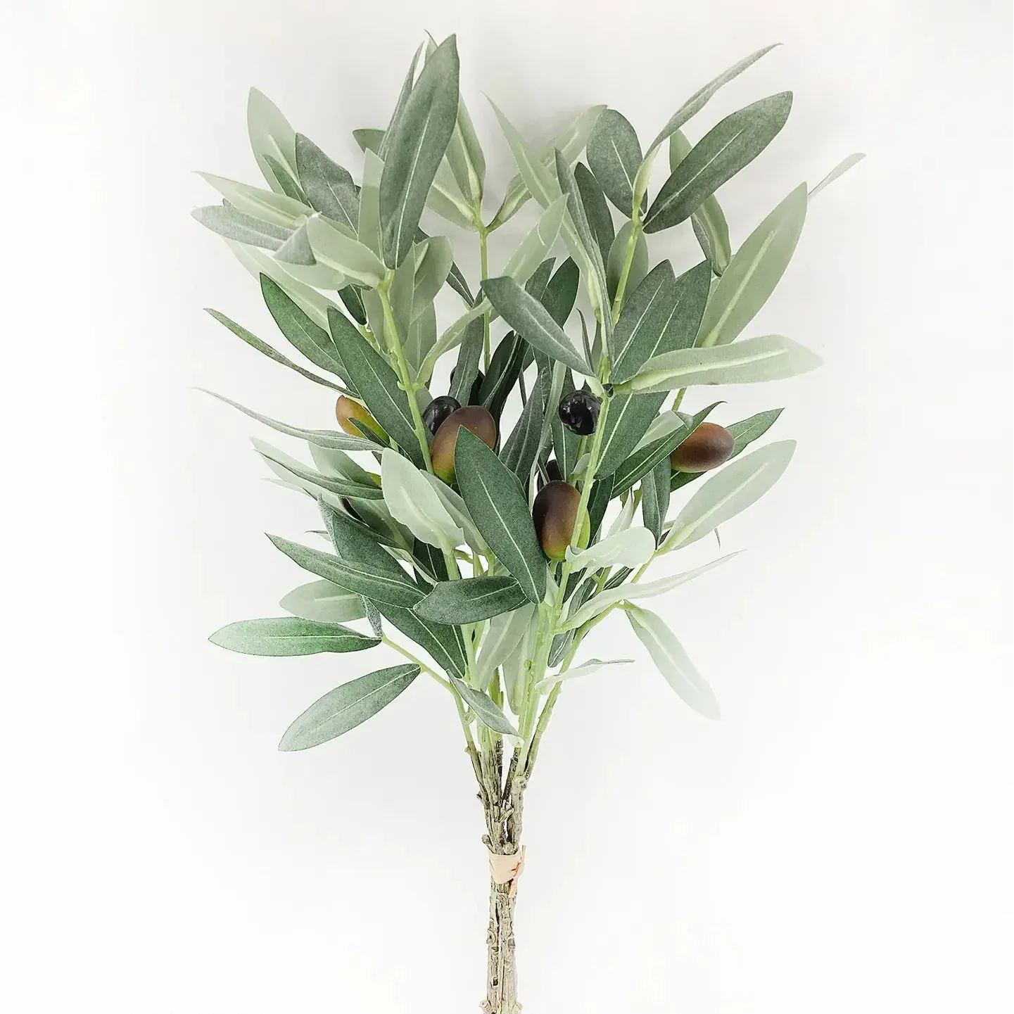 Italian Olive Bunch