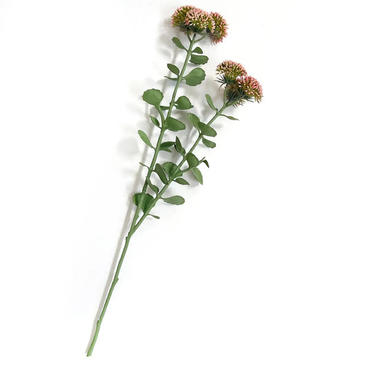 Blush Sedum Stem
