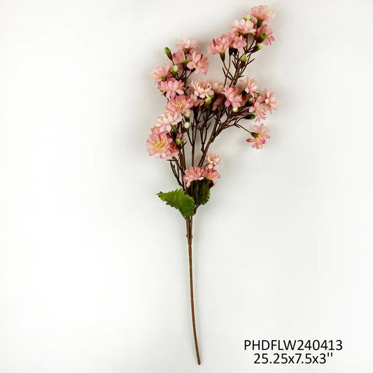 Sweet Blossom Peach