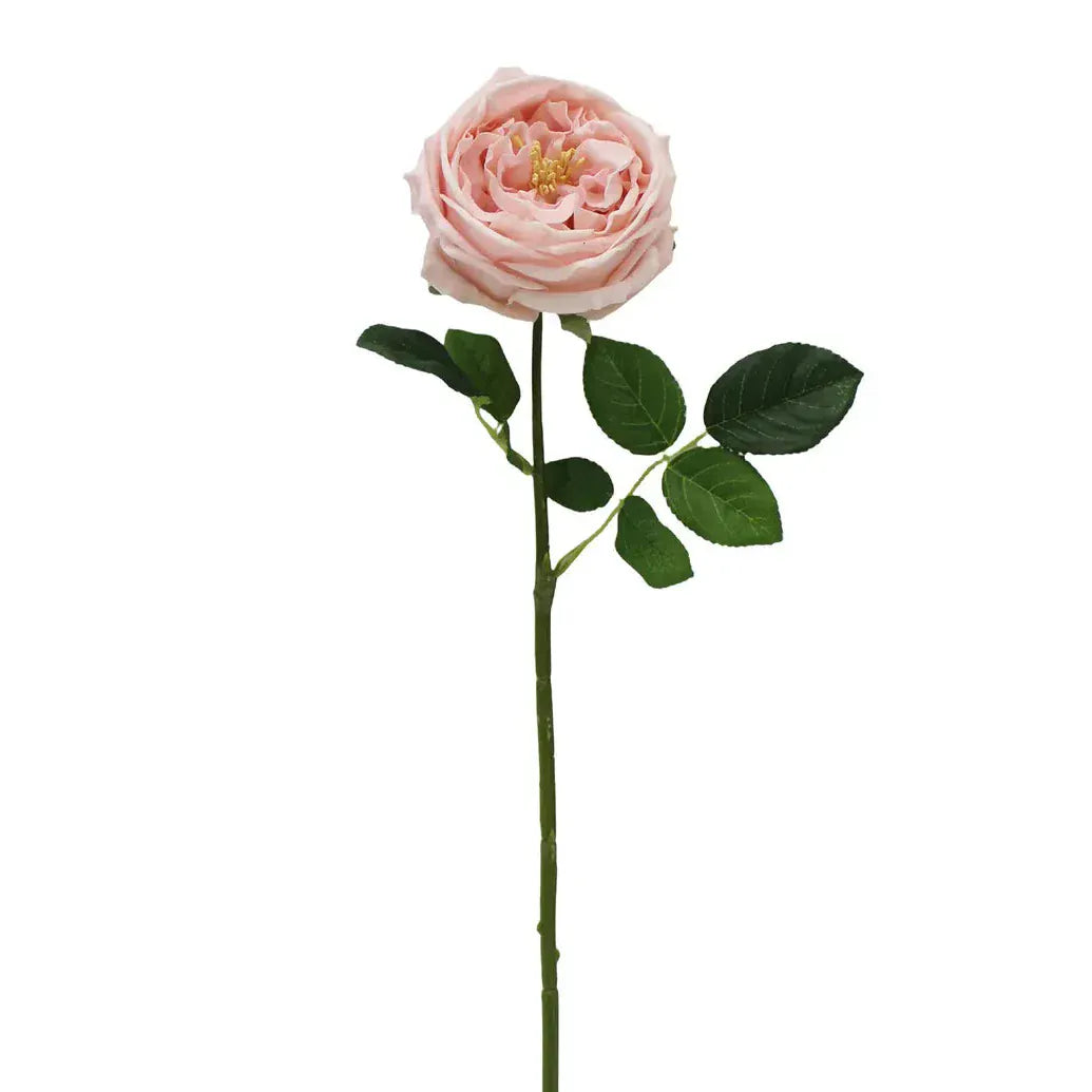 Austin Rose Pink