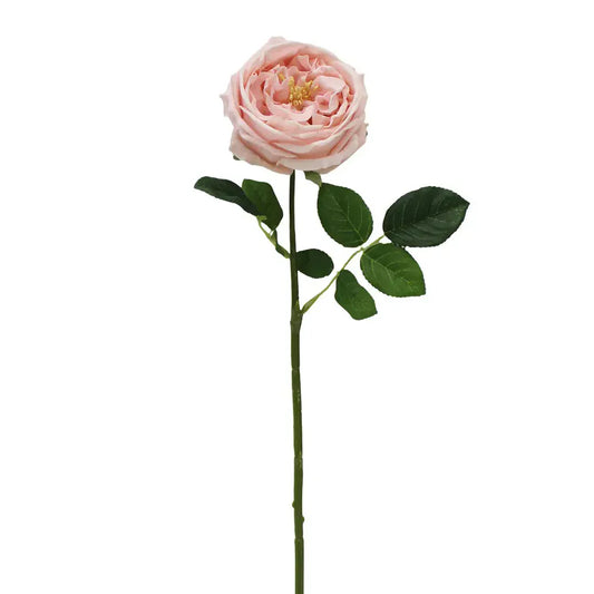 Austin Rose Pink