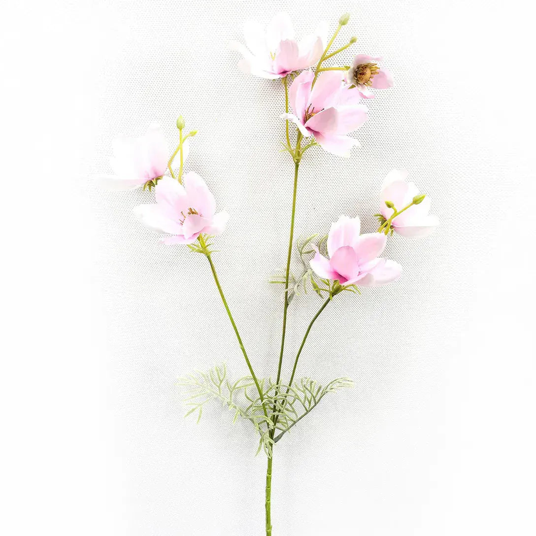 Garden Cosmos Pink