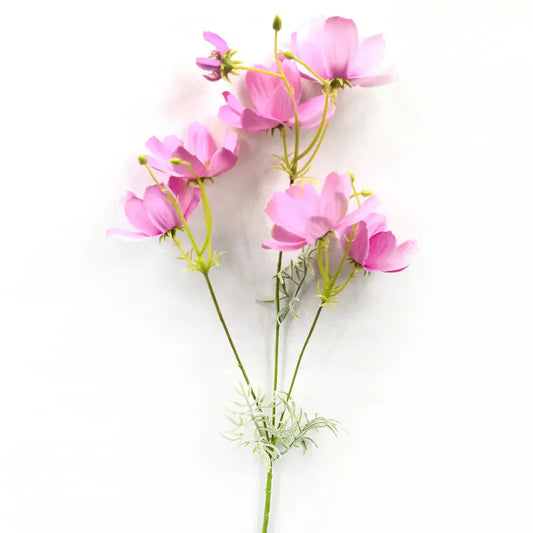 Garden Cosmos Dark Pink