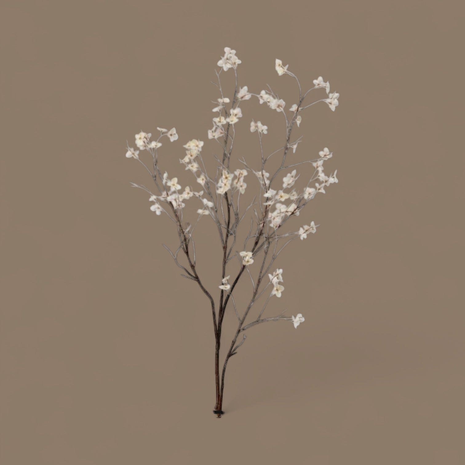 Tall decorative floral spray with cream dogwood blossoms on bare dark branches