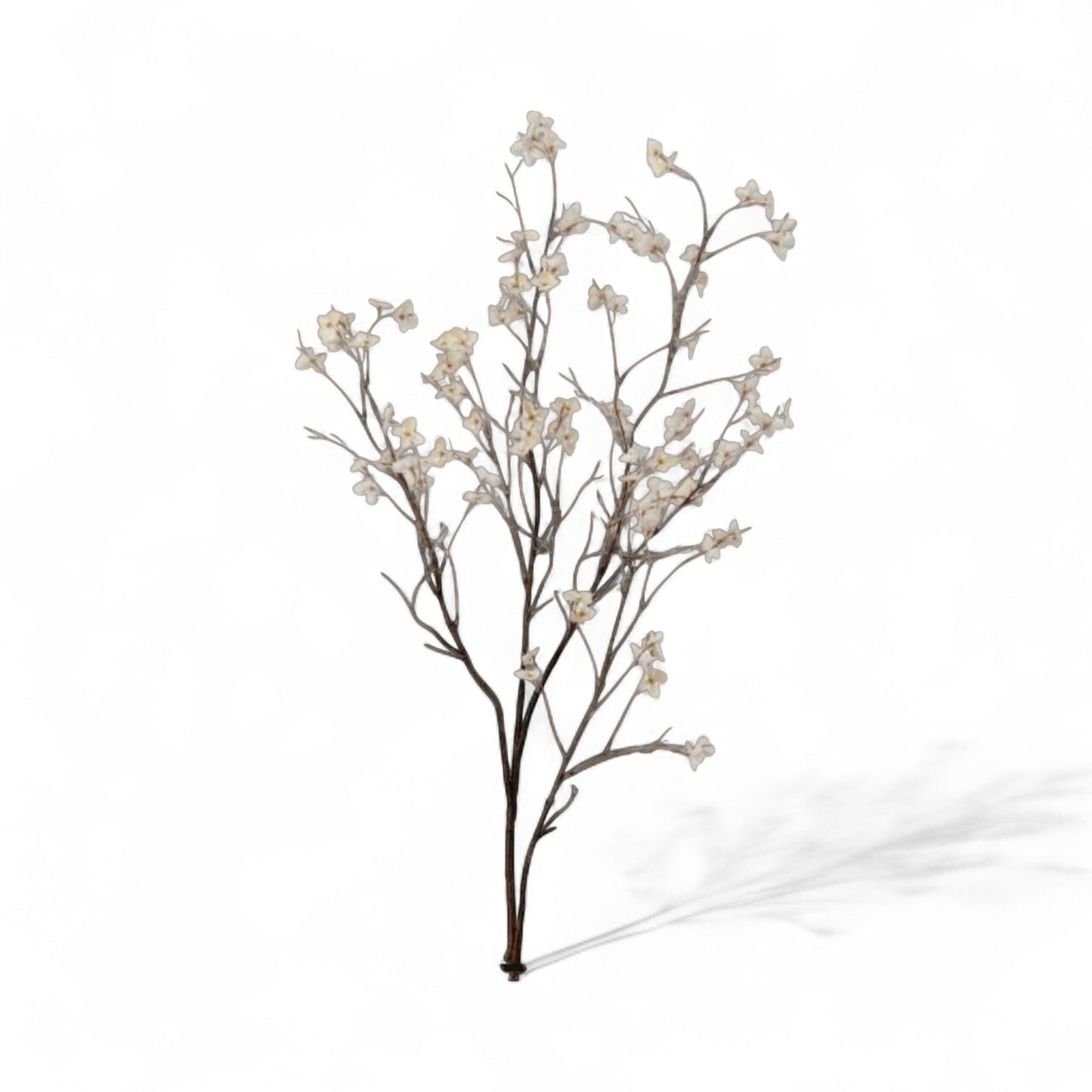Tall decorative floral spray with small cream blossoms on dark branching stems, upright view