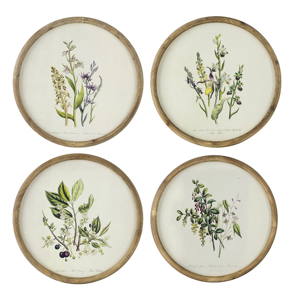 Assorted Flora Print with Round Frame
