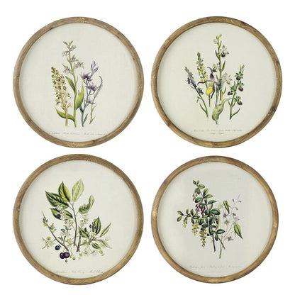 Assorted Flora Print with Round Frame