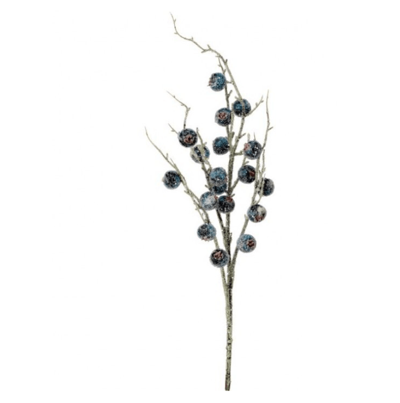 Frosted berry spray stem with large iced blue-teal berries on bare branches, studio view