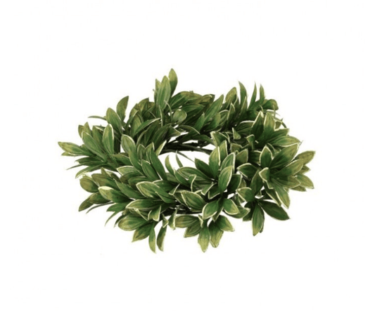 10" VARIEGATED BOXWOOD CANDLERING