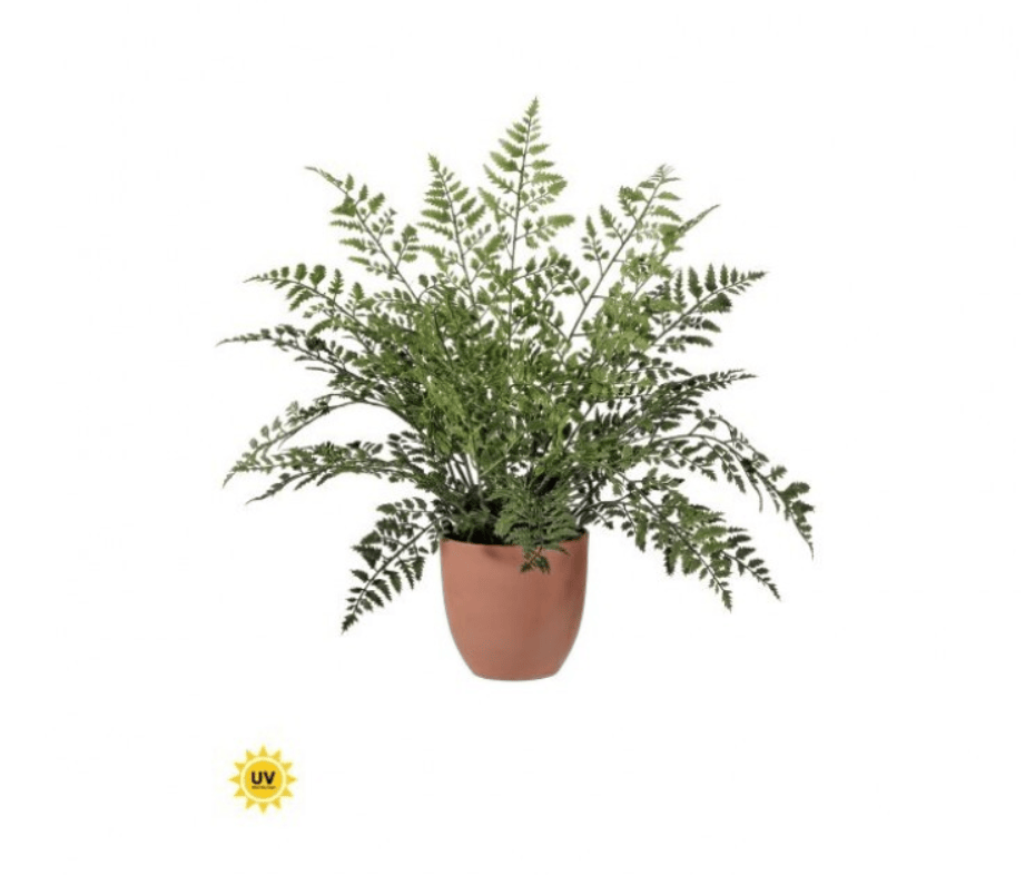 UV Natural TCH Maiden Fern 19"