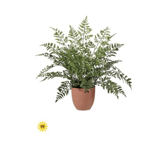 UV Natural TCH Maiden Fern 19"