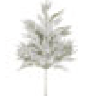 Flocked white frosted pine spray branch with snow-dusted green needles, 25 inches tall