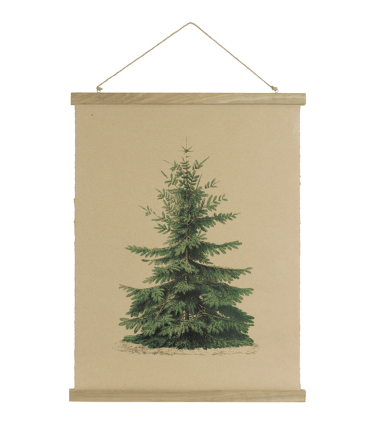 Vintage botanical evergreen tree print on tan canvas wall scroll with wood rails
