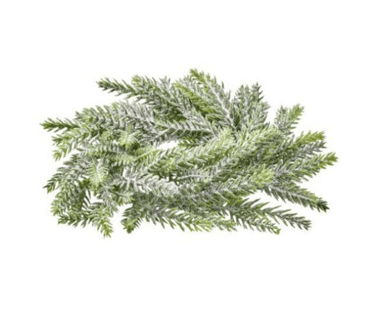 Frosted mini Frasier fir candle ring with snow-dusted green branches, 8 inch diameter