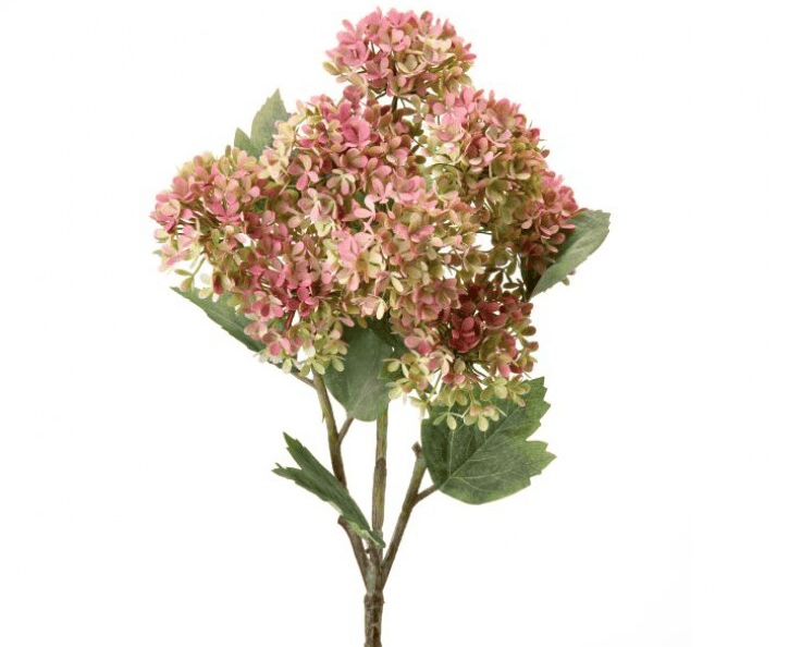 PINK AND GREEN SNOWBALL HYDRANGEA BRANCH 33"