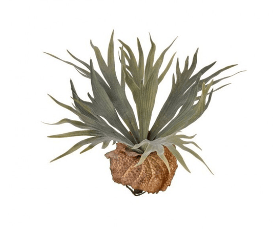 FLOCKED STAGHORN PLANT 13"