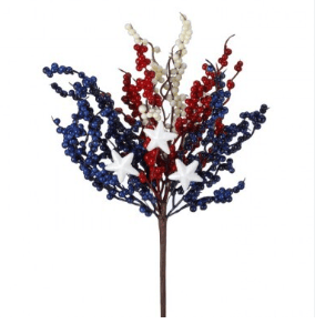 Patriotic Berry Pick With Stars