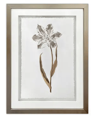 Gilded Botanicals
