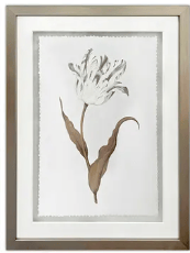 Gilded Botanicals
