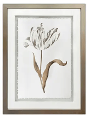 Gilded Botanicals