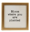 Gold-framed glass magnet with 'Bloom where you are planted' text