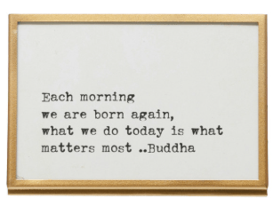 Gold-framed white sign with Buddha quote in typewriter font, easel back