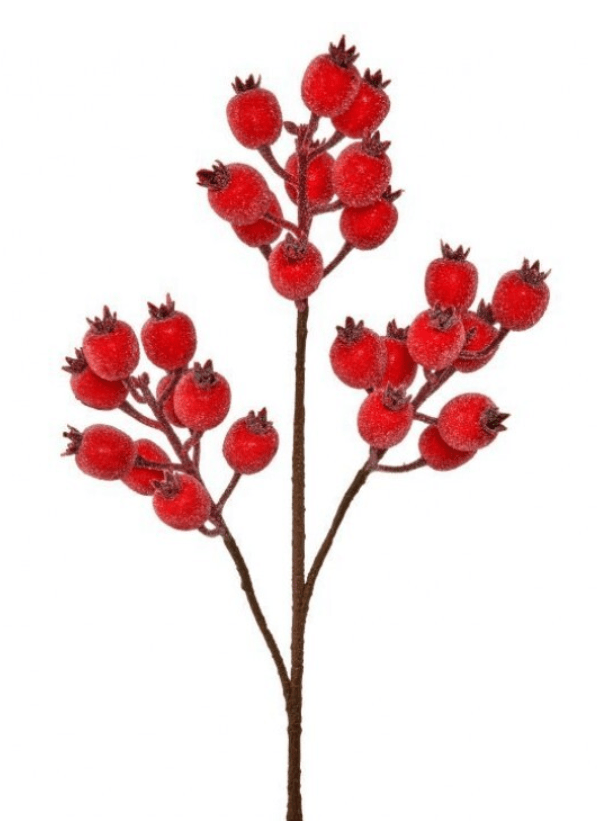 Frosted red pomegranate berry spray with three branching stems, 24 inches tall
