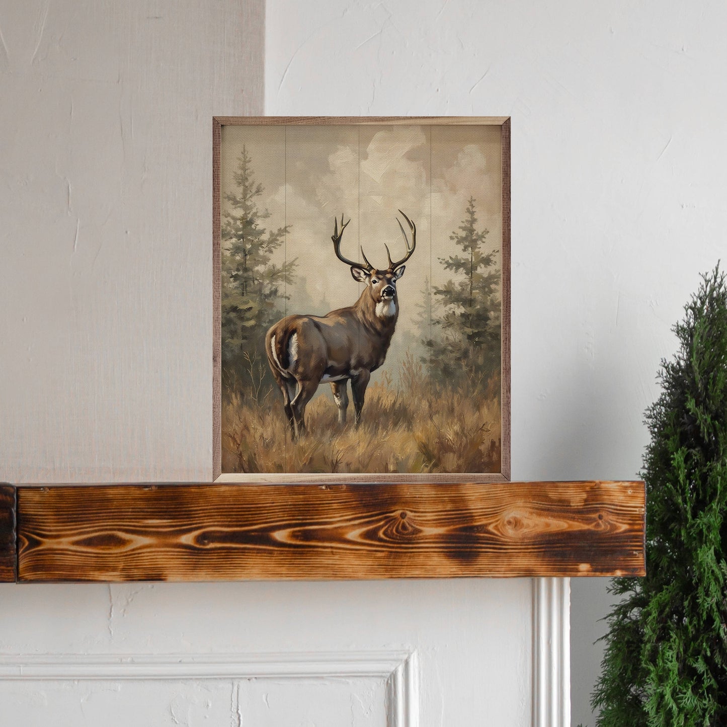 Whitetail Buck In Pines Art Print