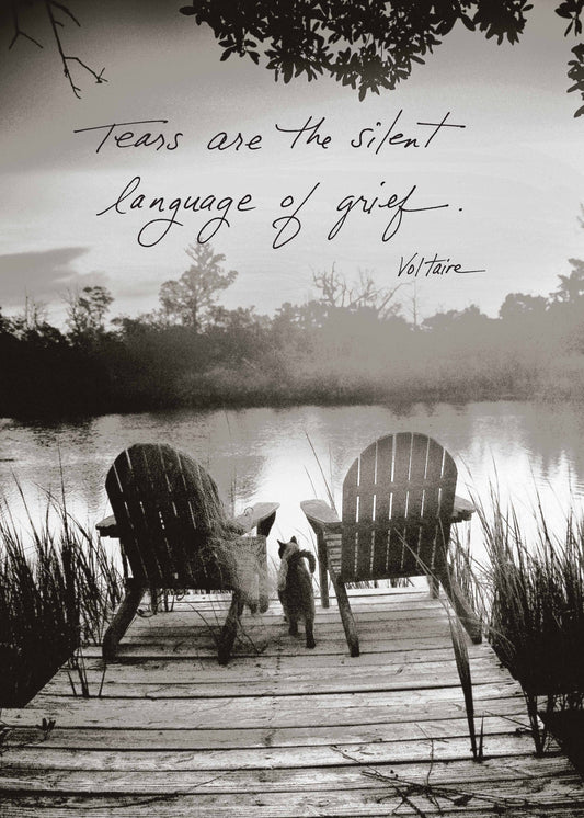 Tears Are the Silent Language of Grief. - Voltaire