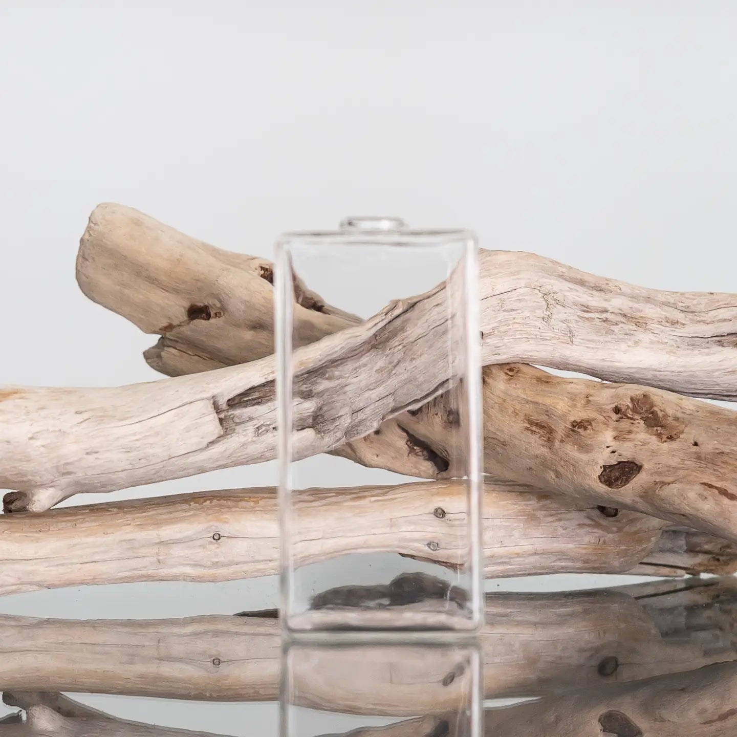 Everlasting Bondi Clear Glass Vase