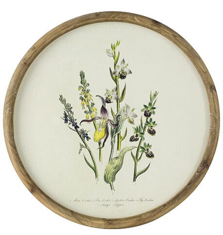 Assorted Flora Print with Round Frame