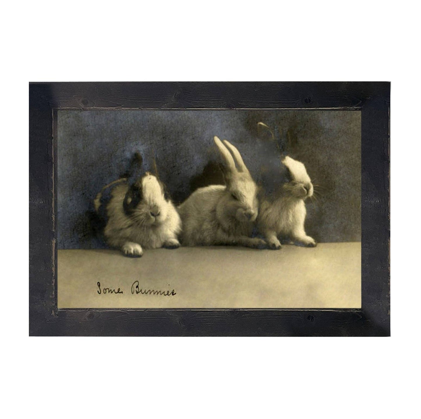 Some Bunnies