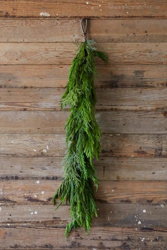 Fresh green cypress pine garland hanging vertically against a rustic wooden plank wall