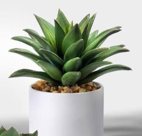 Faux Potted Succulents - 4 Types