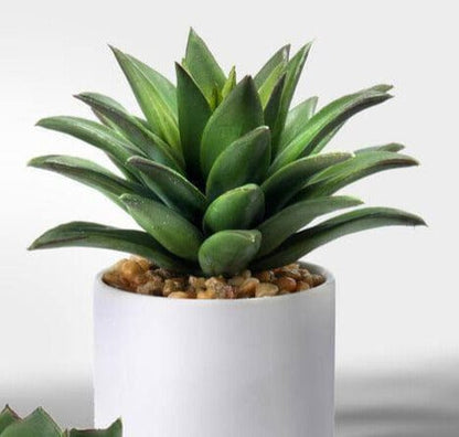 Faux Potted Succulents - 4 Types