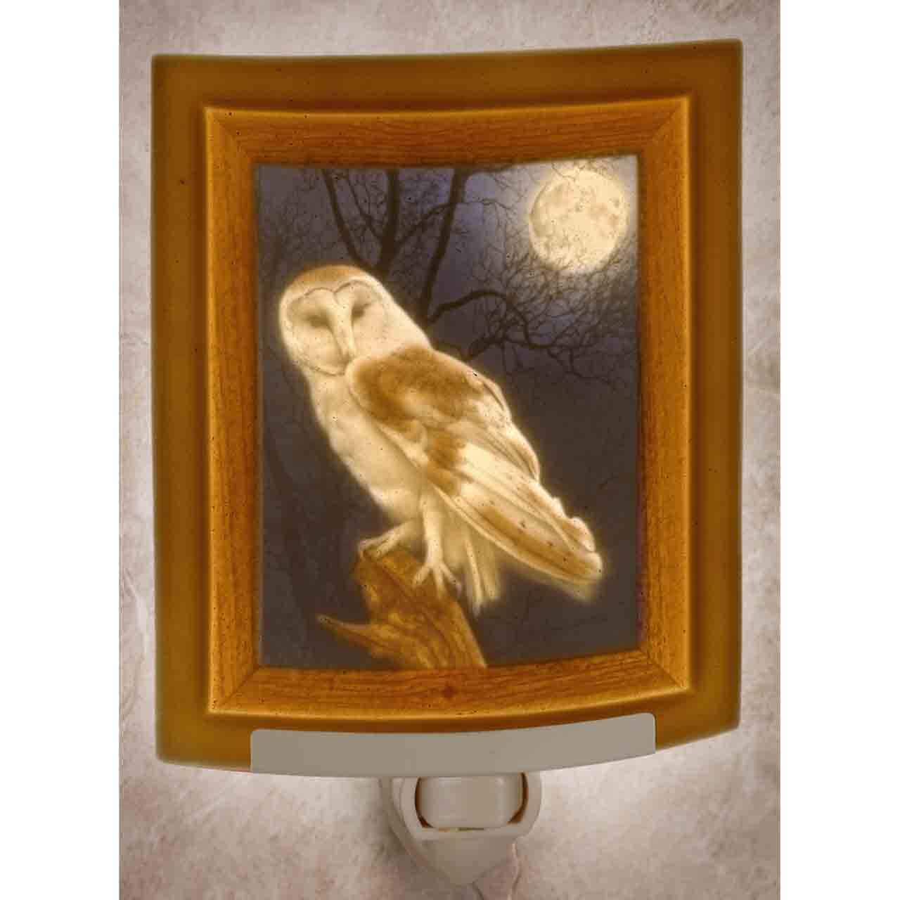 Owl Porcelain Lithophane Colored Night Light