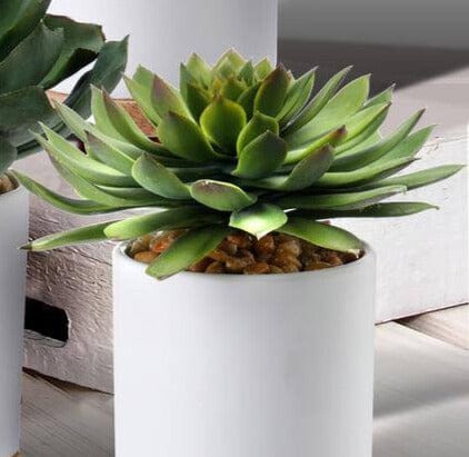 Faux Potted Succulents - 4 Types